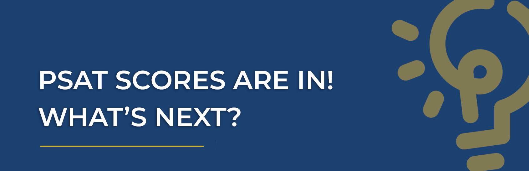 PSAT Scores Are In! What’s Next?